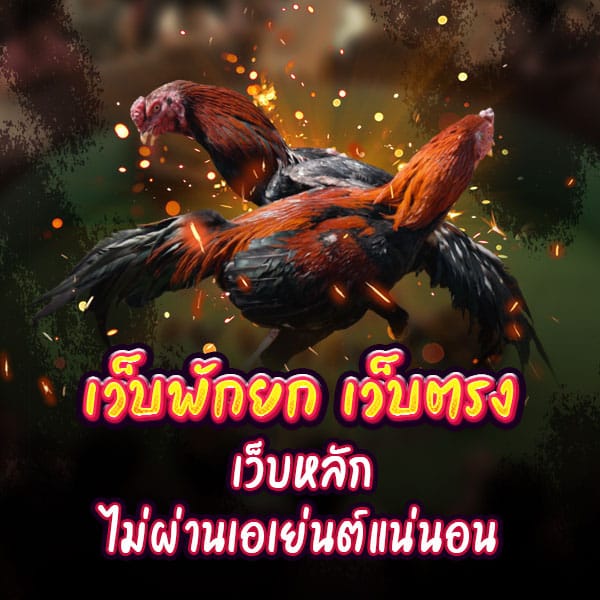 ไลฟ์สดไก่ชน