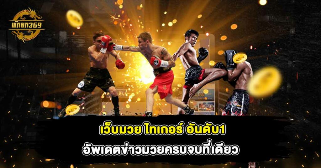 เว็บมวย ไทเกอร์ อันดับ1