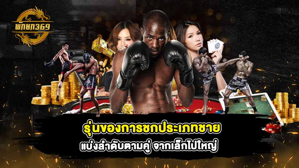 เว็บมวย ไทเกอร์ อันดับ1