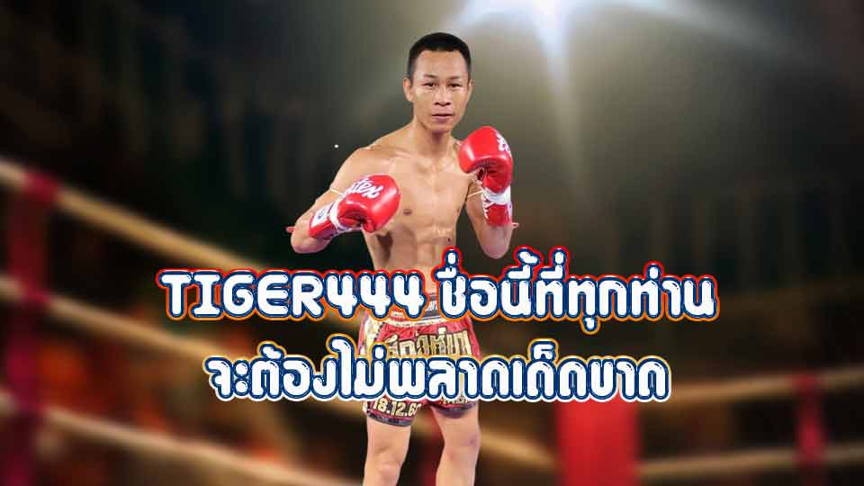 เว็บ tiger789