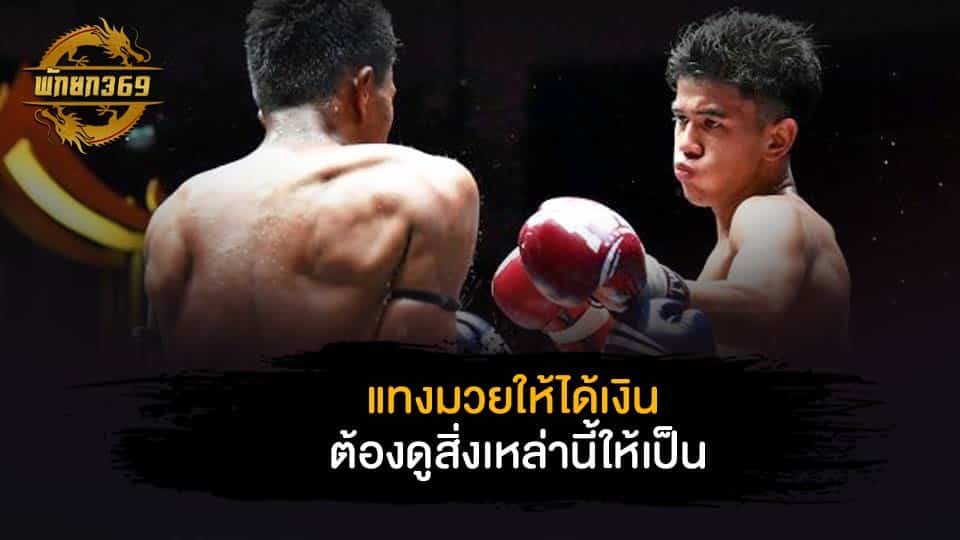 วิเคราะห์ มวยไทย