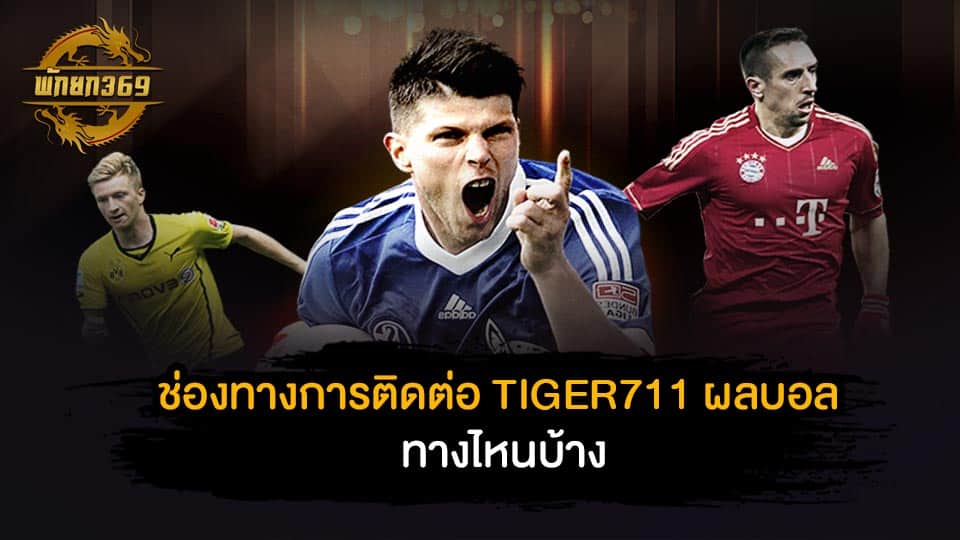 ช่องทางการติดต่อ TIGER711 ผล บอล ทางไหนบ้าง