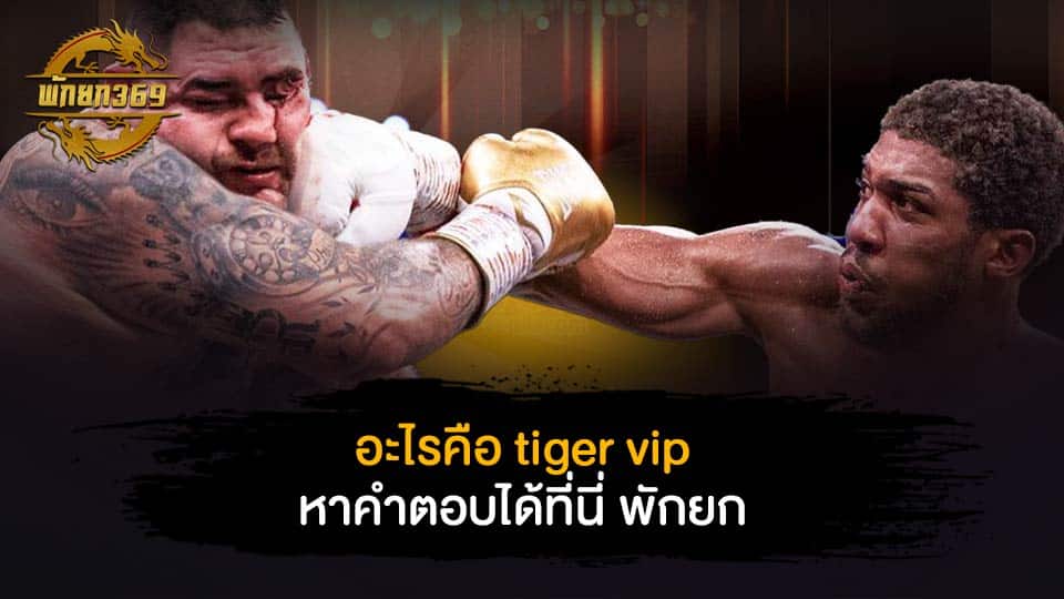 อะไรคือ tiger vip หาคำตอบได้ที่นี่ พักยก