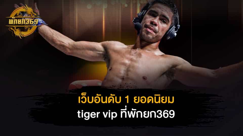 เว็บอันดับ 1 ยอดนิยม tiger vip ที่พักยก369