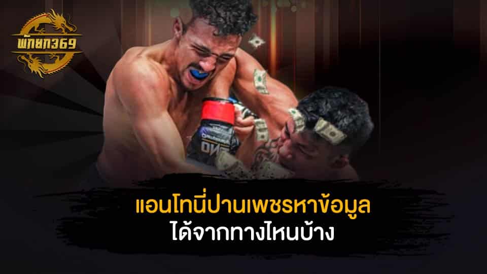 แอนโทนี่ปานเพชร หาข้อมูลได้จากทางไหนบ้าง