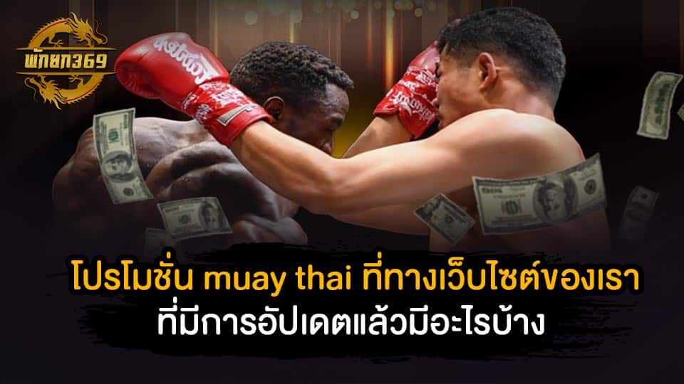 โปรโมชั่น muay thai ที่ทางเว็บไซต์ของเราที่มีการอัปเดตแล้วมีอะไรบ้าง