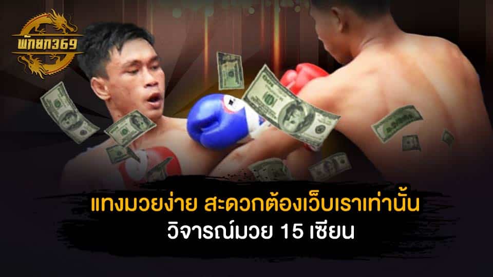 วิจารณ์มวย 15 เซียน