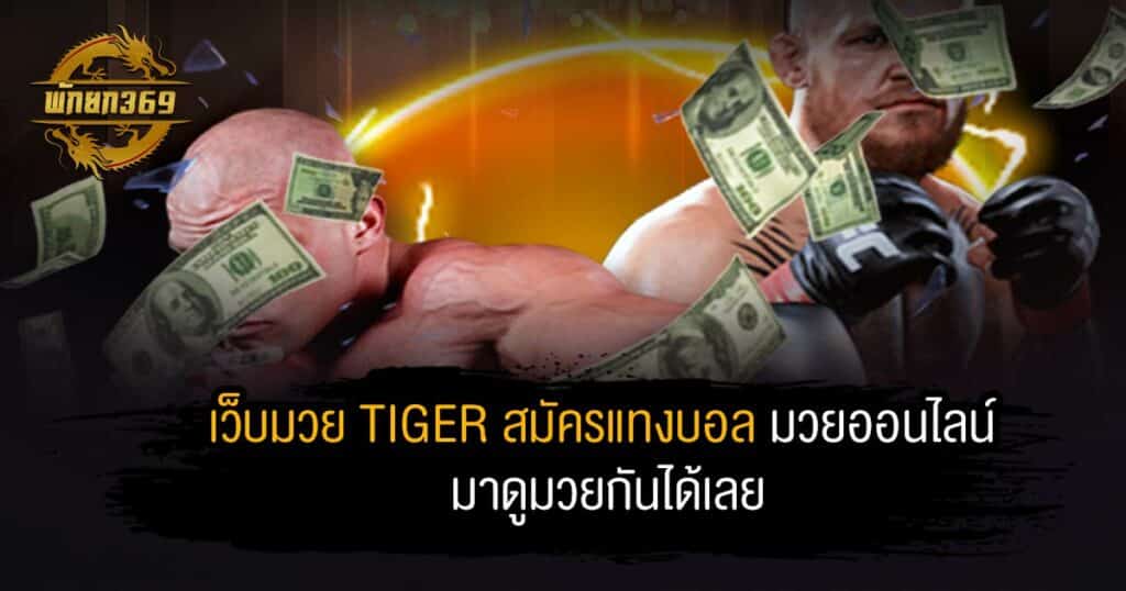 เว็บมวย tiger