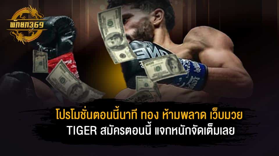 เว็บมวย tiger