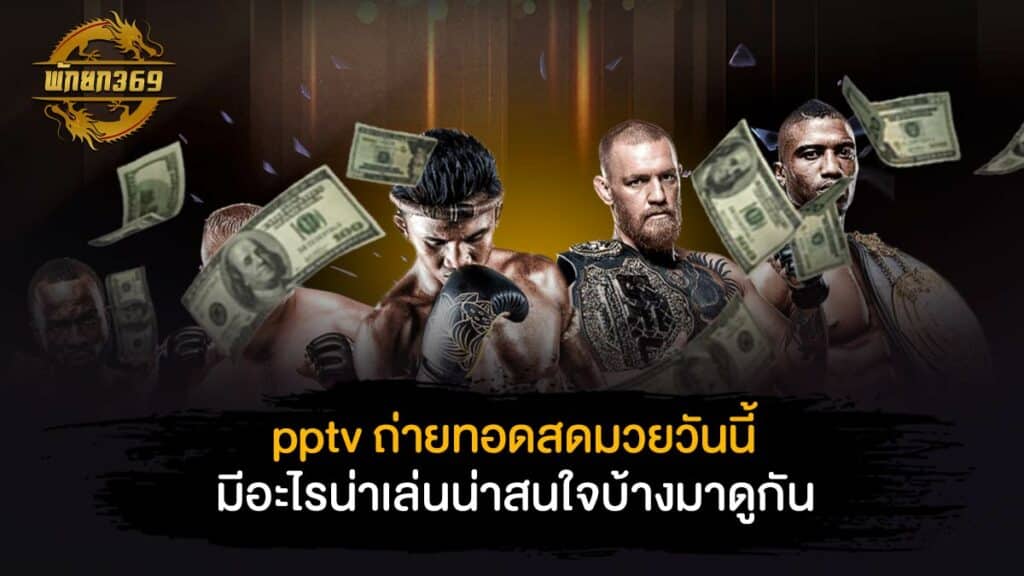 pptv ถ่ายทอดสด มวยวันนี้