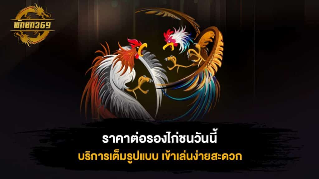 ราคาต่อรองไก่ชนวันนี้