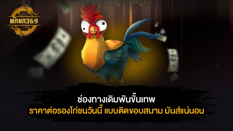 ราคาต่อรองไก่ชนวันนี้