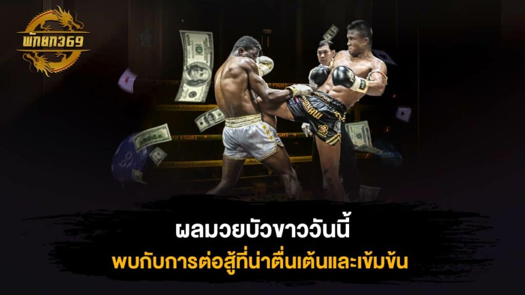 ผลมวยบัวขาววันนี้