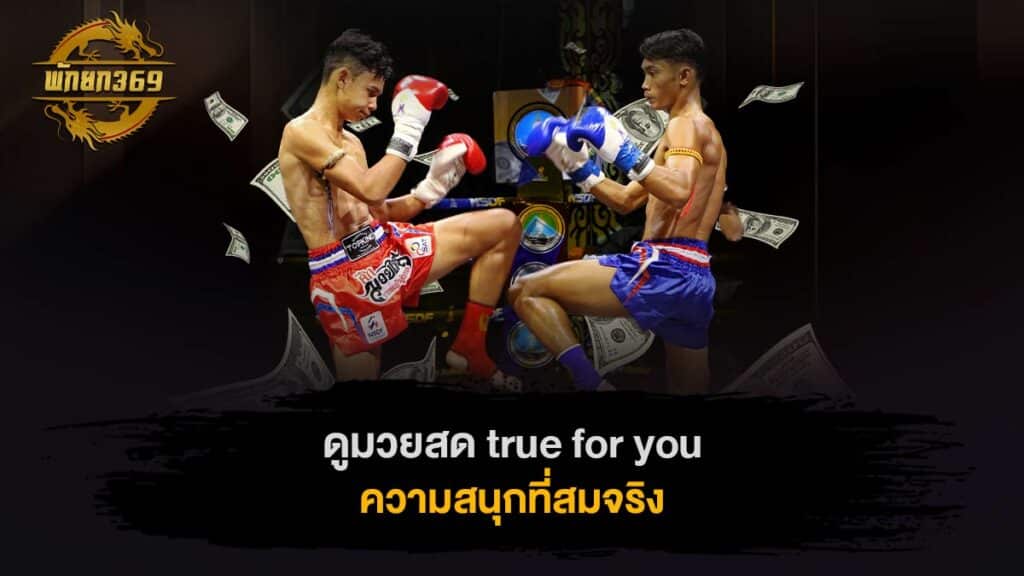 ดูมวยสด true for you