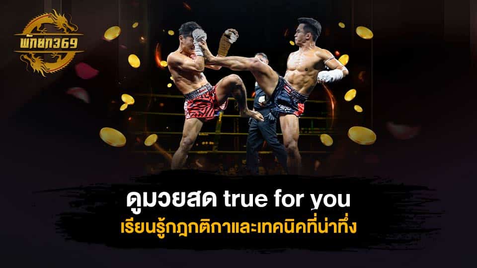 ดูมวยสด true for you