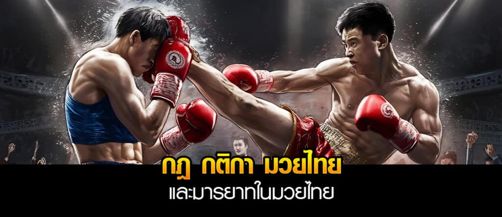 กติกา มวยไทย